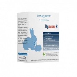 DYNAMOPET